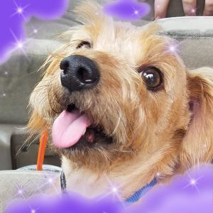 Meet your Posher, Jackie